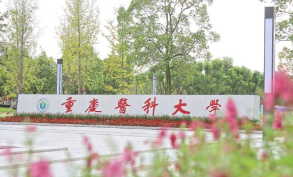 重庆医科大学是几本，是公办还是民办？