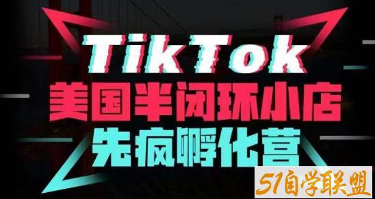 疯人院·TikTok美国半闭环小店孵化营，抢占TikTok美国蓝海市场，开店、运营、带货、投流全实操百度网盘下载