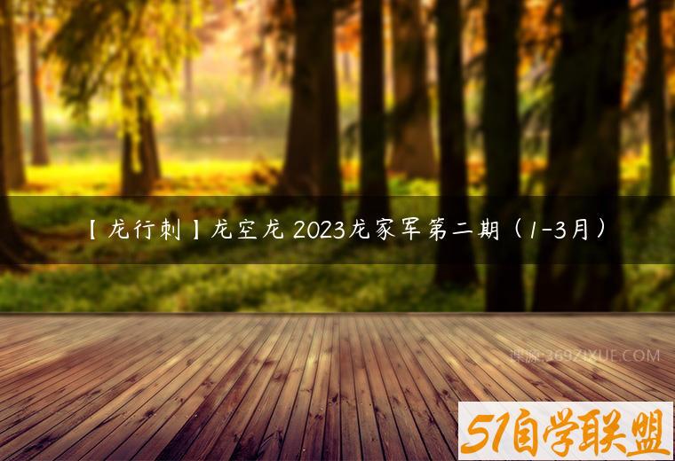 【龙行刺】龙空龙 2023龙家军第二期（1-3月）百度网盘下载