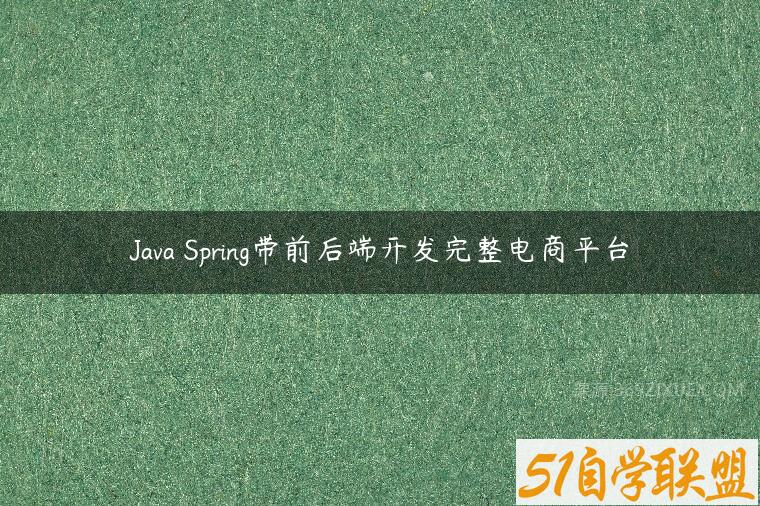 Java Spring带前后端开发完整电商平台
