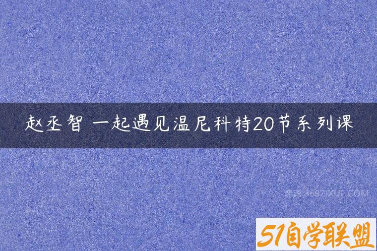 赵丞智 一起遇见温尼科特20节系列课百度网盘下载
