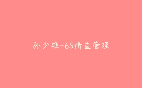 孙少雄-6S精益管理百度网盘下载