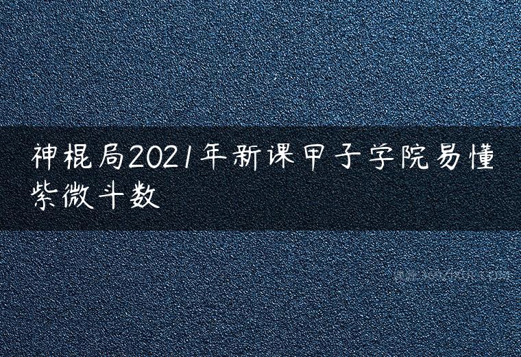 神棍局2021年新课甲子学院易懂紫微斗数百度网盘下载