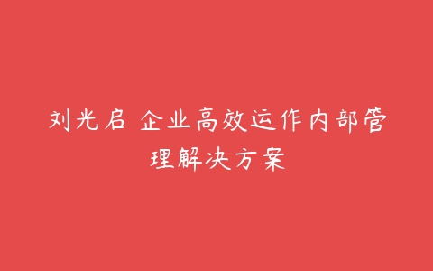刘光启 企业高效运作内部管理解决方案百度网盘下载