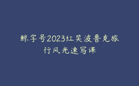 鲸字号2023红笑波鲁克旅行风光速写课百度网盘下载