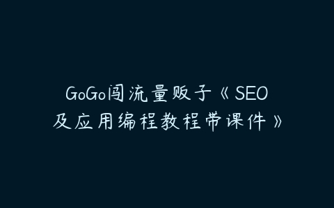 GoGo闯流量贩子《SEO及应用编程教程带课件》百度网盘下载