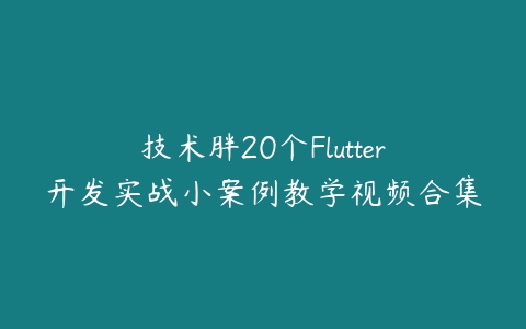 技术胖20个Flutter开发实战小案例教学视频合集百度网盘下载