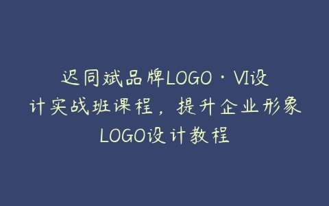 迟同斌品牌LOGO·VI设计实战班课程，提升企业形象LOGO设计教程百度网盘下载