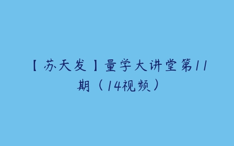 【苏天发】量学大讲堂第11期（14视频）百度网盘下载
